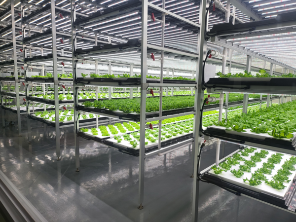 팜토리 스마트팜 전경. ⓒ충북기업진흥원