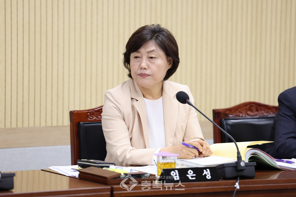 임은성 의원(행정안전위원회 발언사진)