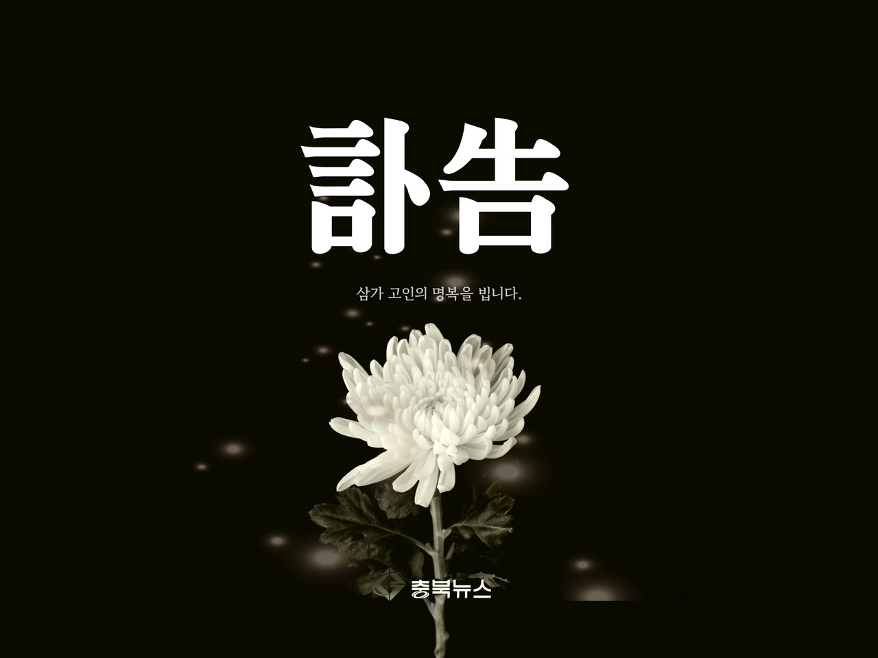 [사진=충북뉴스 DB]